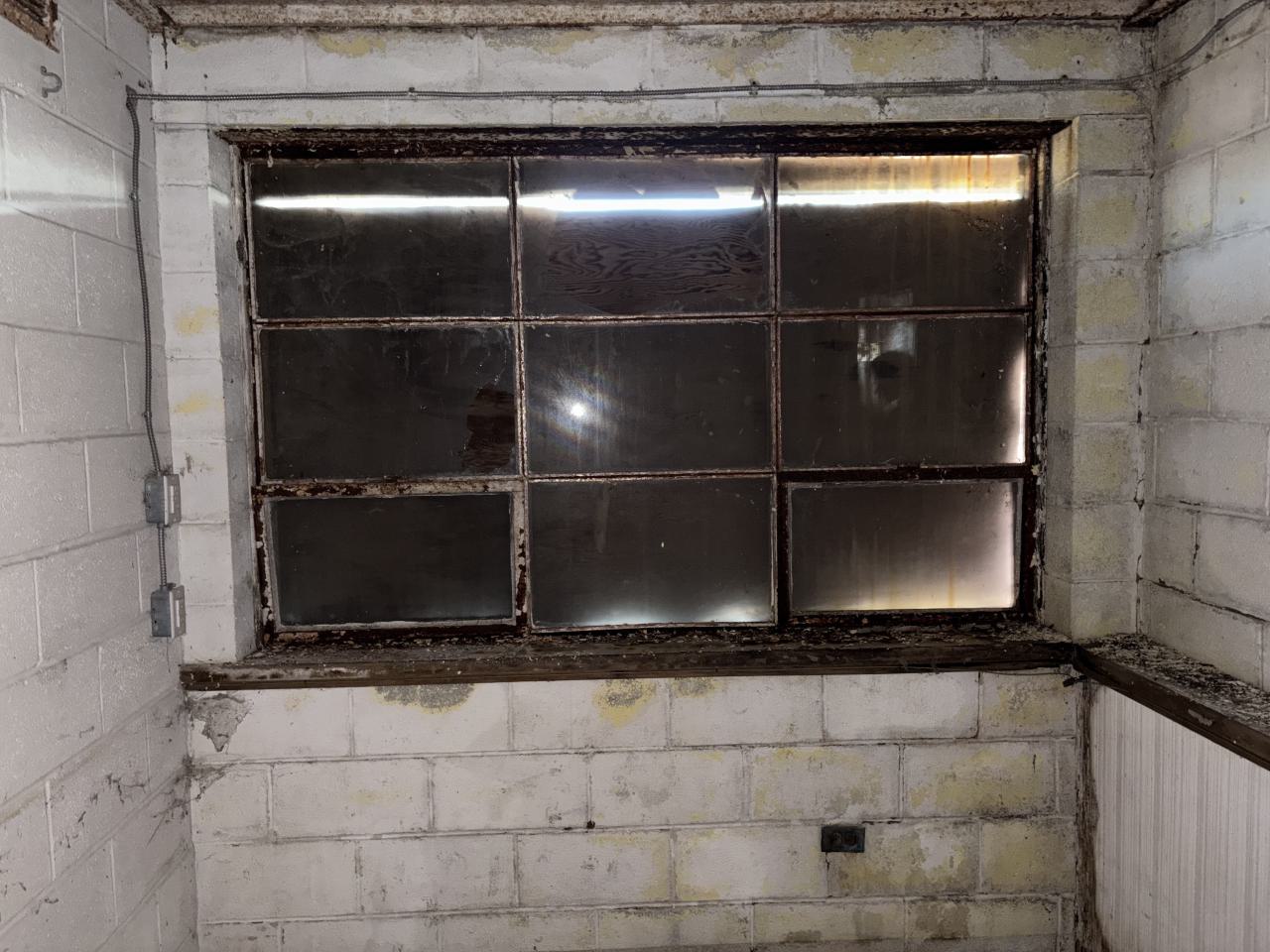 November 2, 2025 - IMG_8844.jpg