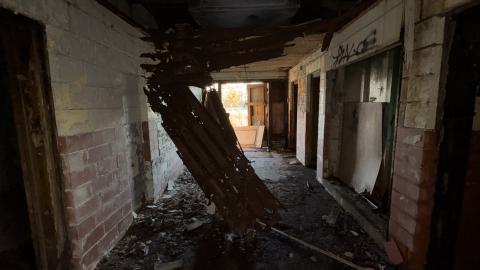 Photo from November 2, 2025