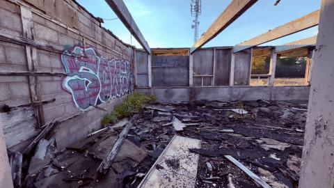 November 2, 2025 - IMG_8865.jpg