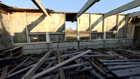 November 2, 2025 - IMG_8877.jpg