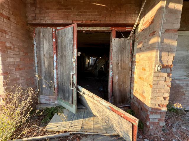 November 2, 2025 - IMG_8884.jpg