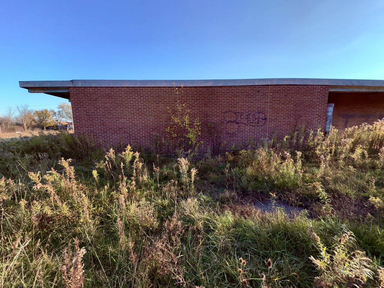 November 2, 2025 - IMG_8890.jpg