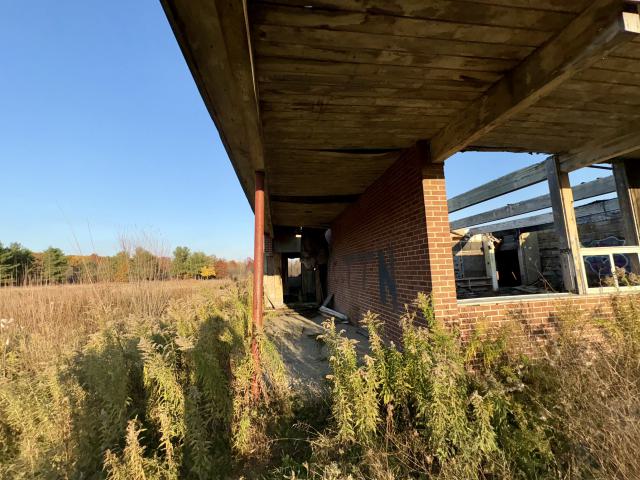 November 2, 2025 - IMG_8892.jpg