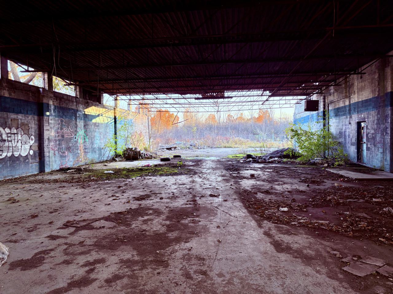 November 2, 2025 - IMG_8897.jpg