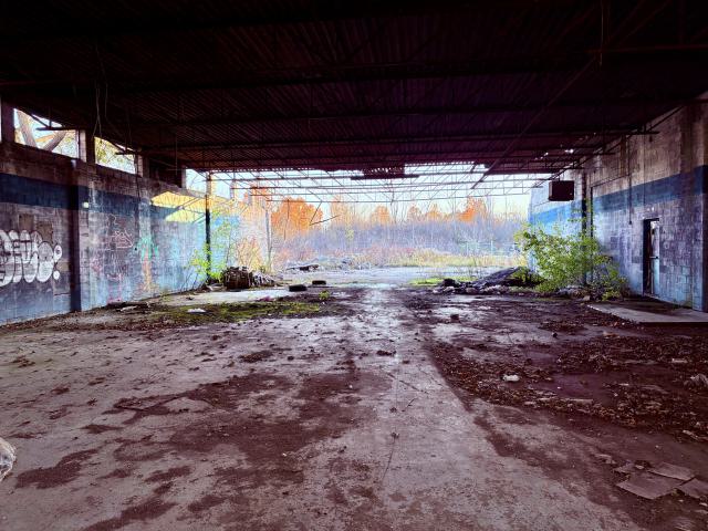 November 2, 2025 - IMG_8897.jpg