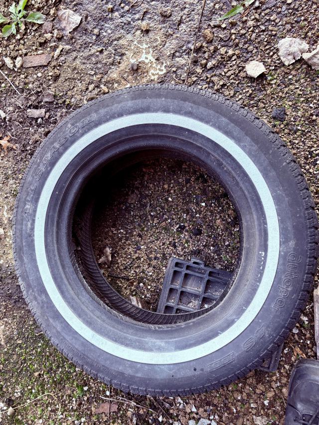 November 2, 2025 - IMG_8898.jpg