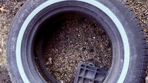 Photo from November 2, 2025