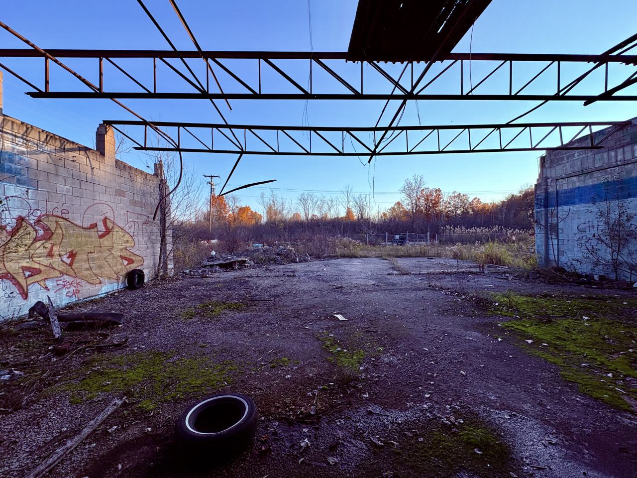 November 2, 2025 - IMG_8900.jpg