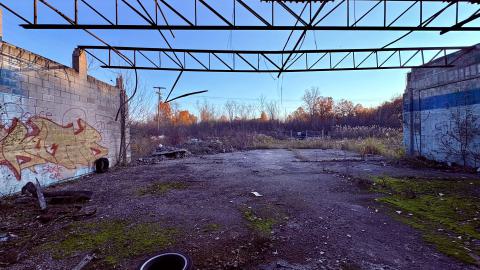 November 2, 2025 - IMG_8900.jpg