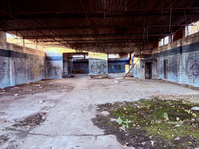 November 2, 2025 - IMG_8901.jpg