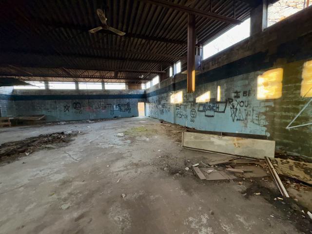 November 2, 2025 - IMG_8907.jpg