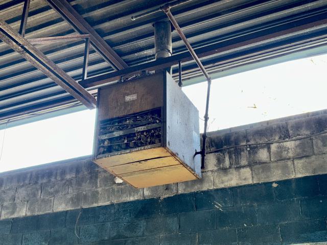 November 2, 2025 - IMG_8909.jpg