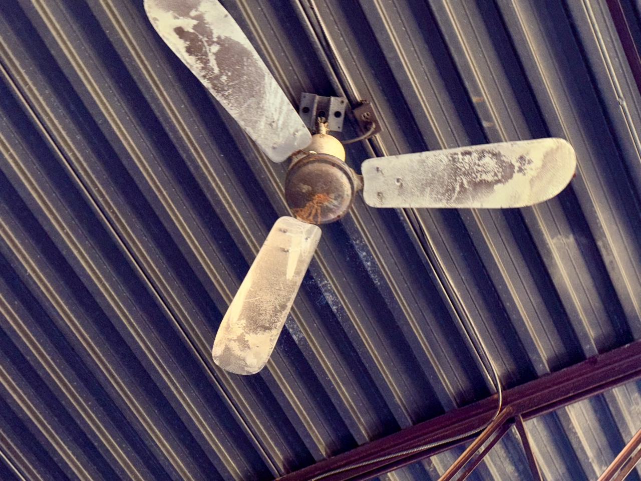 November 2, 2025 - IMG_8910.jpg