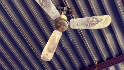 November 2, 2025 - IMG_8910.jpg