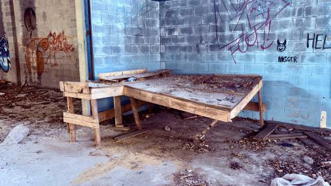 Photo from November 2, 2025