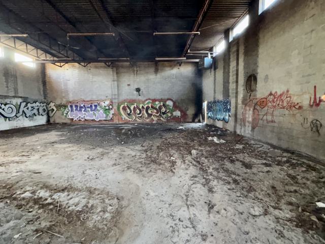 November 2, 2025 - IMG_8913.jpg