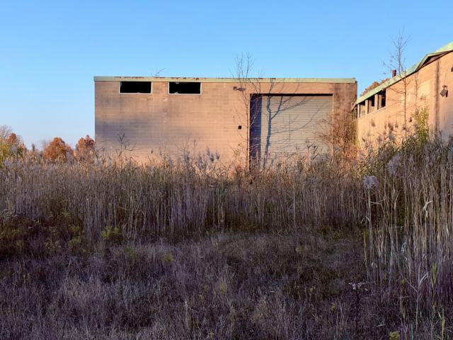 November 2, 2025 - IMG_8920.jpg