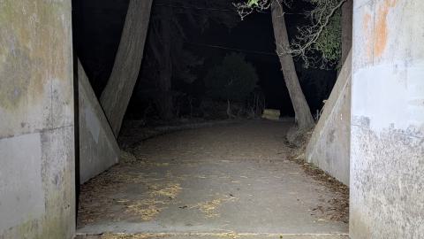 October 2025 - PXL_20251030_022501445.jpg