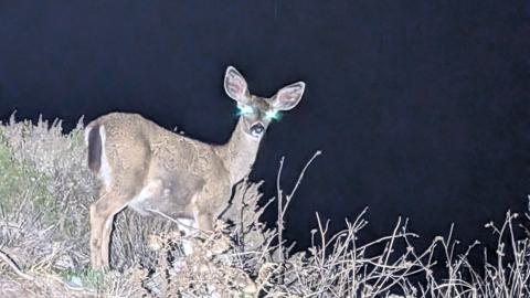 October 2025 - PXL_20251030_022835636.jpg