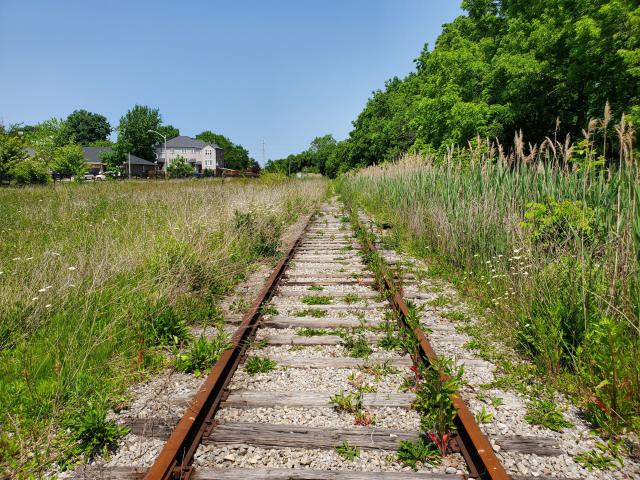 06/14/25 - 20250614_131838.jpg