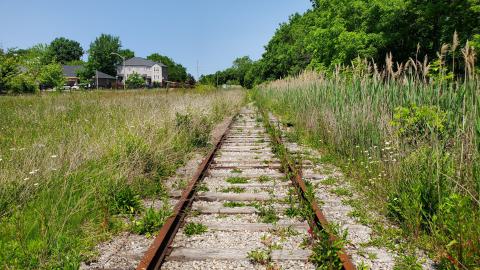 06/14/25 - 20250614_131838.jpg