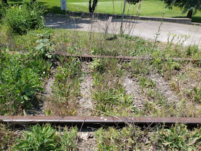 06/14/25 - 20250614_132234.jpg