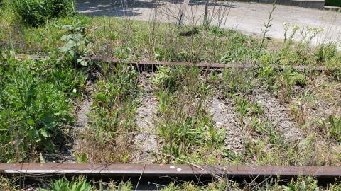 06/14/25 - 20250614_132234.jpg