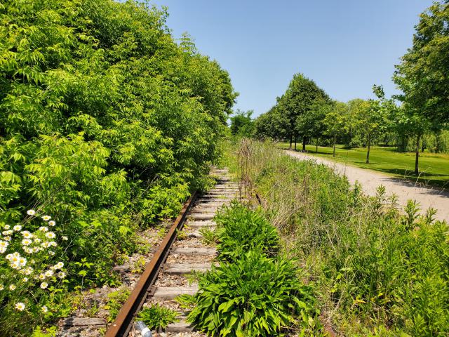 06/14/25 - 20250614_132527.jpg