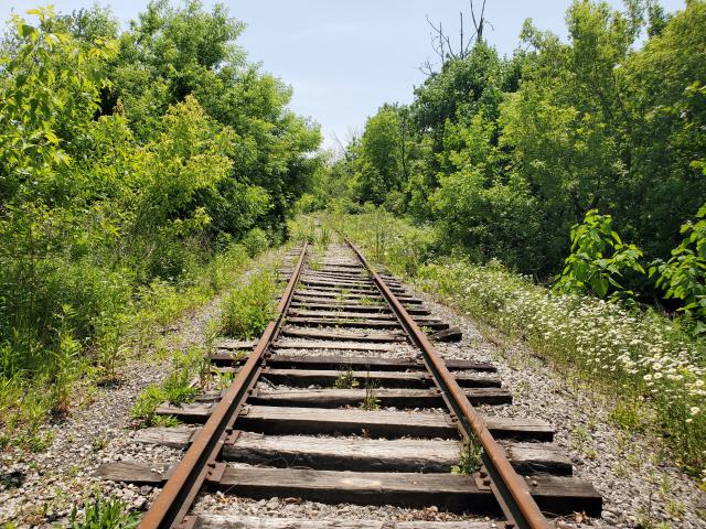 06/14/25 - 20250614_132554.jpg