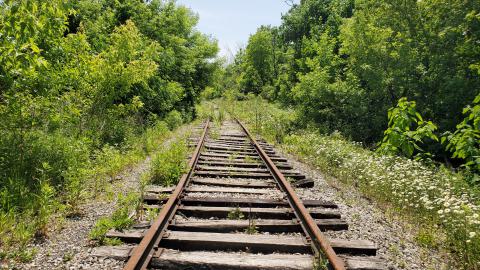 06/14/25 - 20250614_132554.jpg