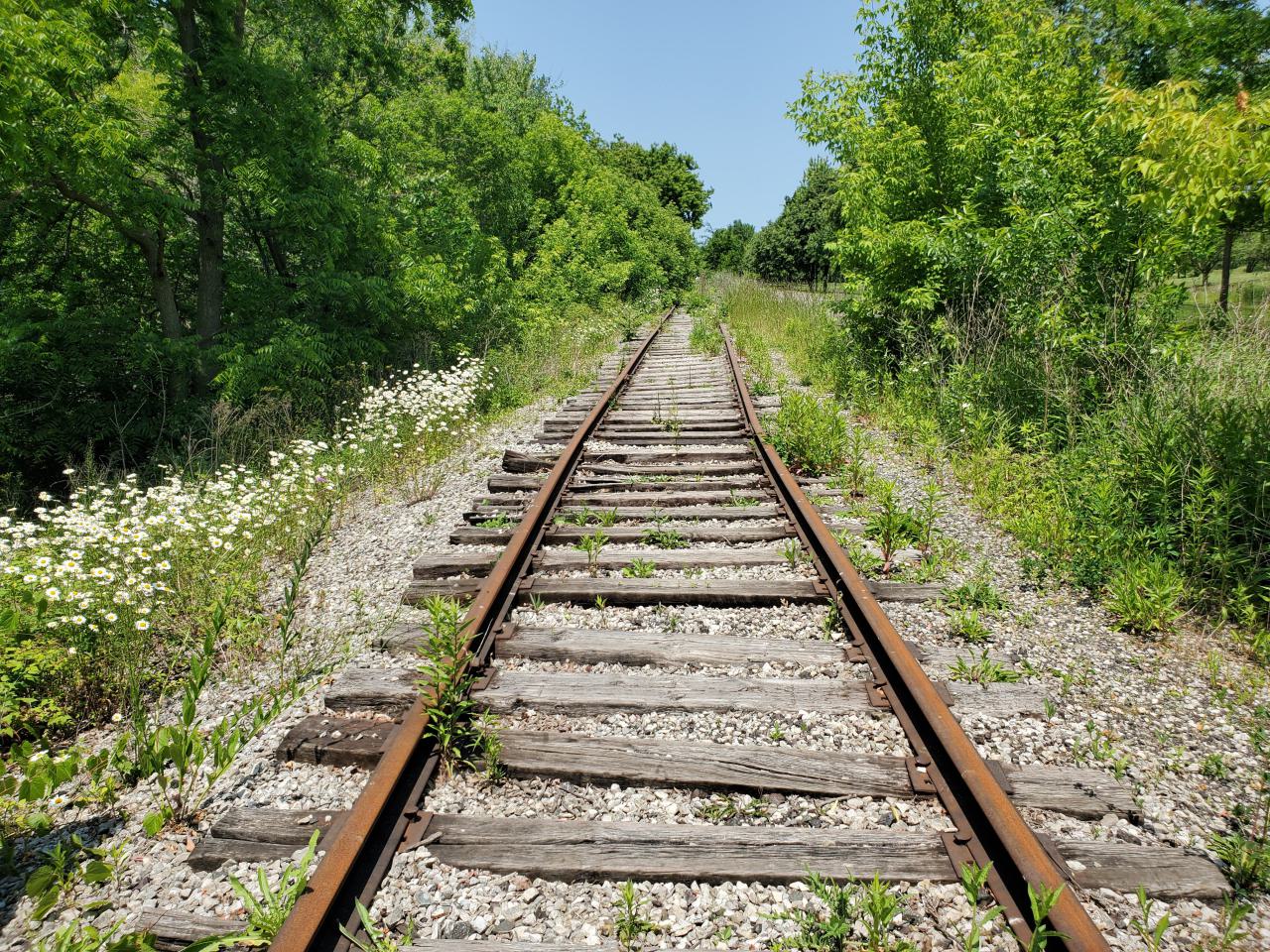 06/14/25 - 20250614_132623.jpg