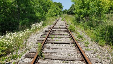 06/14/25 - 20250614_132623.jpg