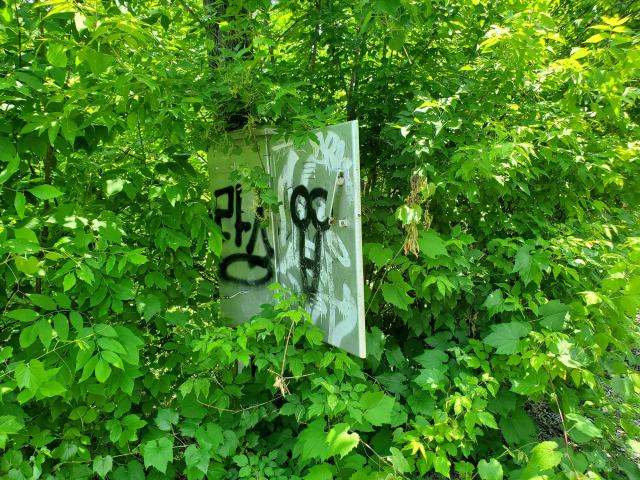 06/14/25 - 20250614_132817.jpg