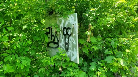 06/14/25 - 20250614_132817.jpg