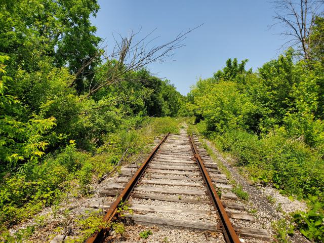 06/14/25 - 20250614_132832.jpg