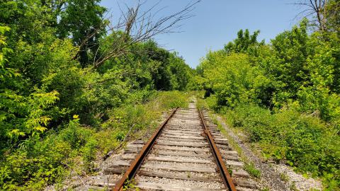 06/14/25 - 20250614_132832.jpg