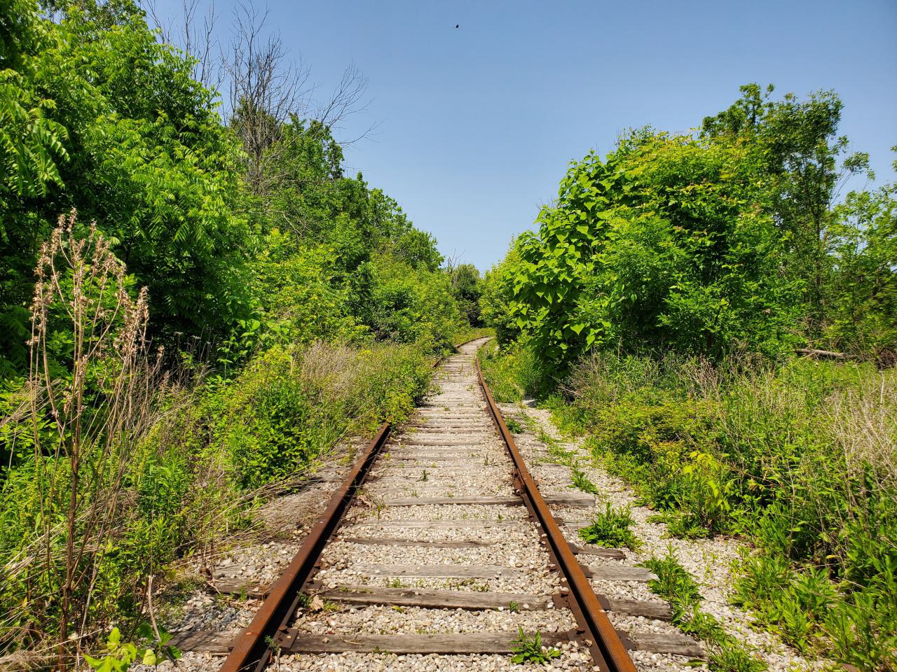 06/14/25 - 20250614_132931.jpg