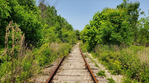 06/14/25 - 20250614_132931.jpg