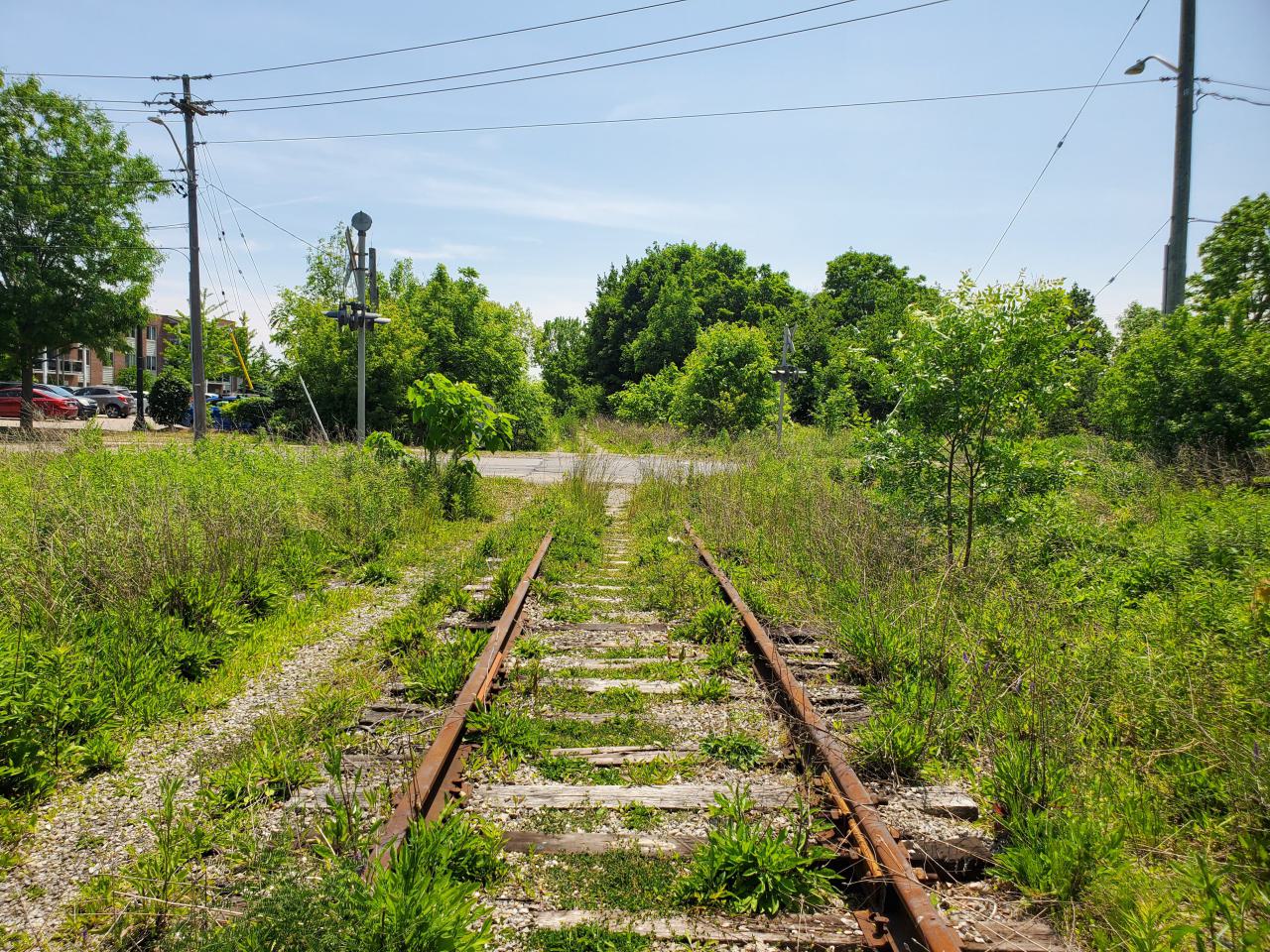 06/14/25 - 20250614_133124.jpg