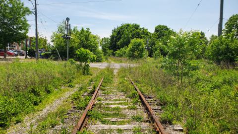 06/14/25 - 20250614_133124.jpg