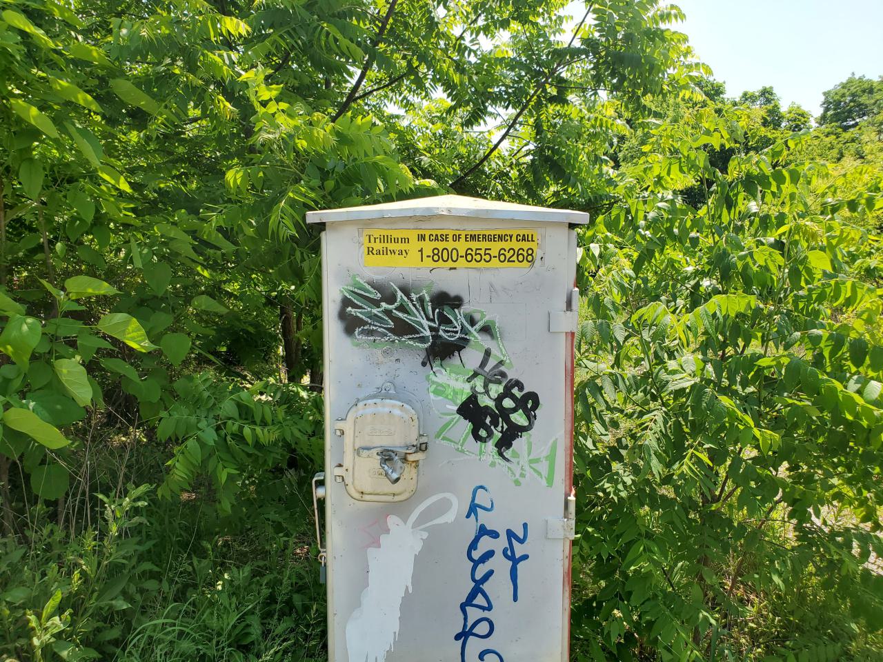 06/14/25 - 20250614_133227.jpg