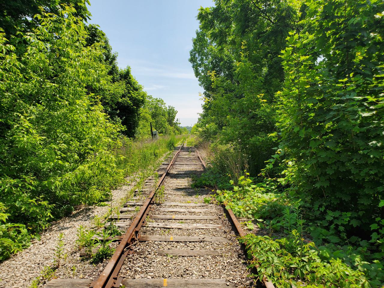 06/14/25 - 20250614_133459.jpg