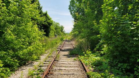 06/14/25 - 20250614_133459.jpg