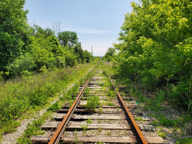 06/14/25 - 20250614_133818.jpg