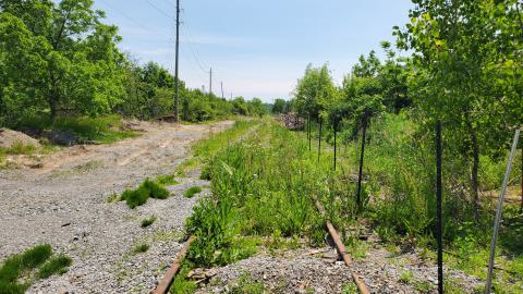 06/14/25 - 20250614_134243.jpg