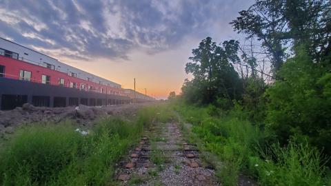 Rails Removed cover photo