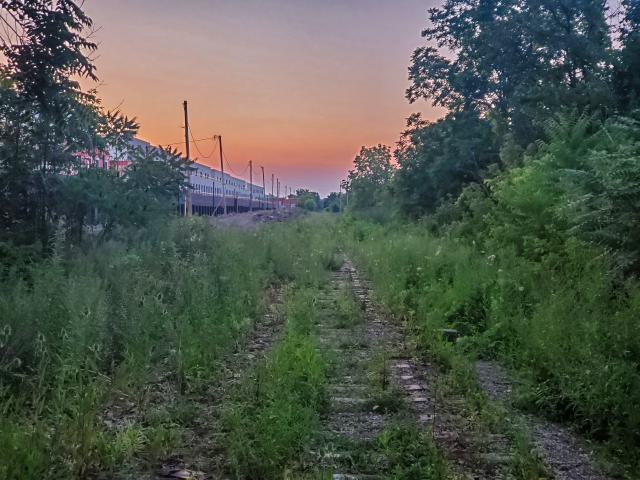 Rails Removed - PSX_20251108_191829.jpg