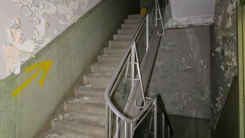 Photo from Summer 2025