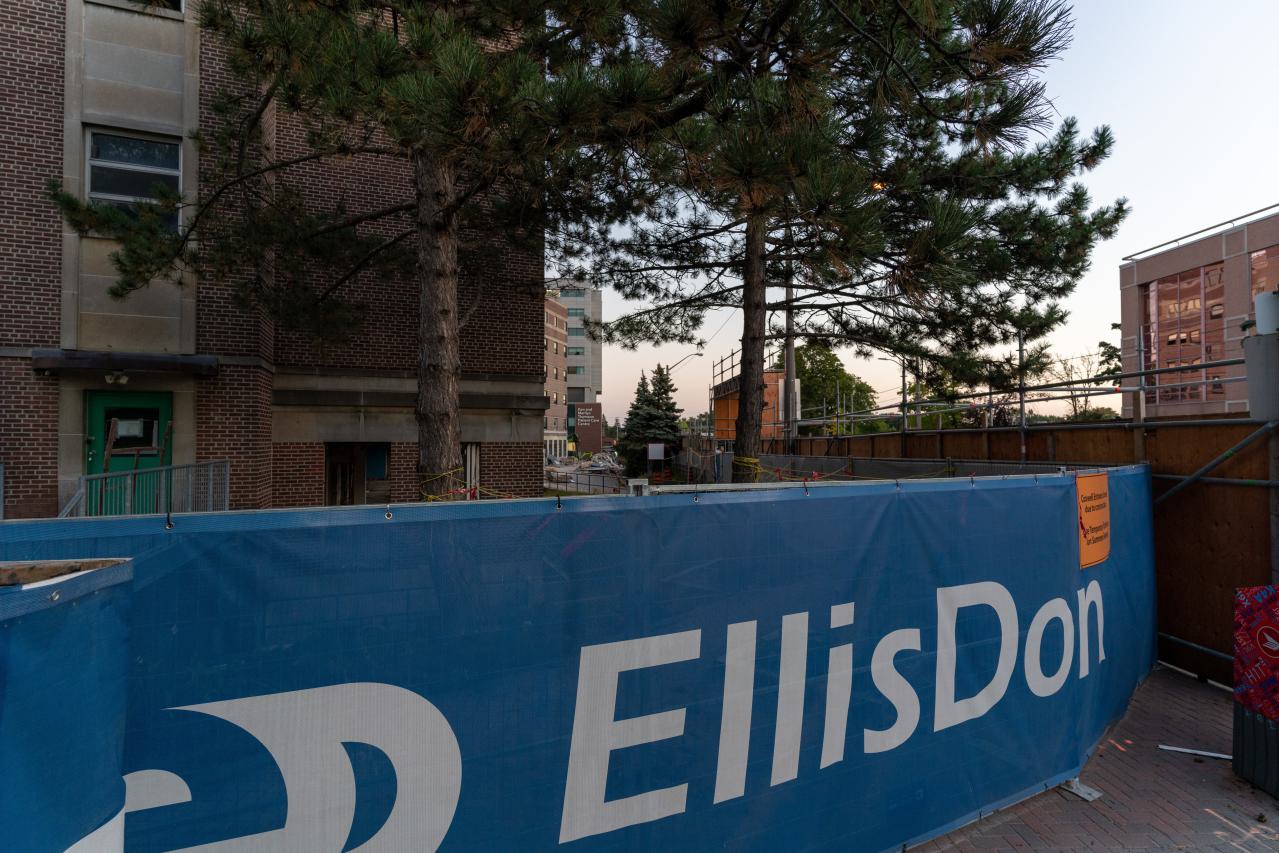 Spoonman - DSC00587.JPG