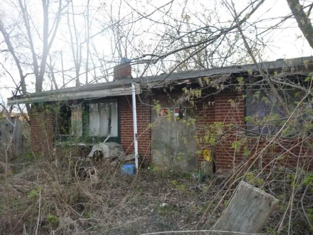 dog house - P1010259.jpg